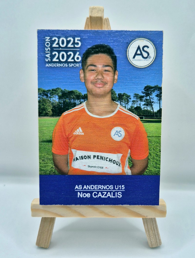 magnet-bois-personnalise-10.webp - photo portrait joueur a bassin arcachon